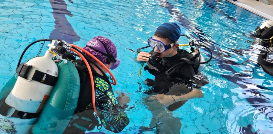 Udział w projekcie PKL „Pasje Górą” – edycja 2025